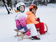 Санки и леденици