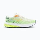 Обувки за бягане по асфалт Mizuno