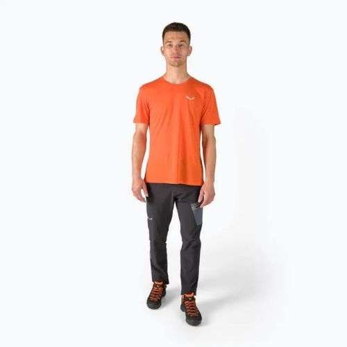 Мъжка тениска за трекинг Salewa Alpine Hemp Logo orange 00-0000028132