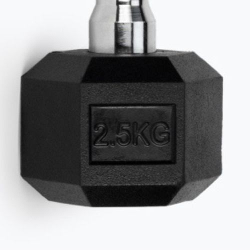 Гумиран дъмбел TREXO Hex HXD25 2.5 kg