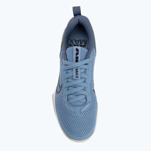 Мъжки обувки за тренировка Nike Air Max Alpha Trainer 6 work blue/diffused blue/black