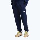 Мъжки панталони за трекинг The North Face Simple Dome Light Regular Tapered Jogger summit navy