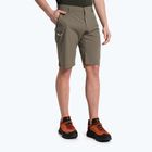 Мъжки къси панталони за туризъм Salewa Talveno DST brown 00-0000027064