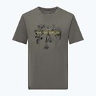 Мъжка тениска Salewa Eagle Nature faded green