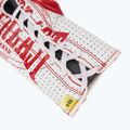 Боксови ръкавици Everlast Fight Leather red 6