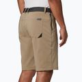 Мъжки къси панталони за трекинг Columbia Tech Trail 221 beige 1883371 4