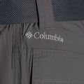 Мъжки панталони за трекинг Columbia Silver Ridge II converti 023 grey 1794891 10