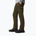 Мъжки панталони за трекинг Columbia Silver Ridge II converti 319 green 1794891 3