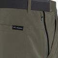 Къси панталони за трекинг за мъже Columbia Tech Trail 397 green 1883371 9