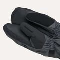 Мъжки ръкавици за сноуборд Dakine Titan Gore-Tex Mitt carbon 6