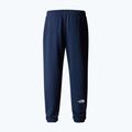 Мъжки панталони за трекинг The North Face Simple Dome Light Regular Tapered Jogger summit navy 5