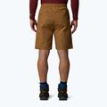 Мъжки къси панталони The North Face Limestone utility brown 3