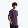 Мъжка тениска The North Face Evolution Box NSE endless dusk