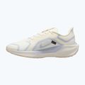 Мъжки обувки за бягане Nike Pegasus 41 GTX sail/football grey/sundial/ashen slate 9