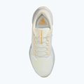 Мъжки обувки за бягане Nike Pegasus 41 GTX sail/football grey/sundial/ashen slate 10