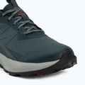 Мъжки туристически обувки Salomon Elixir Activ GTX scarab/green gable 7