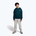 Детски суитшърт New Balance Brush Back Small Logo Hoodie medusa green 2