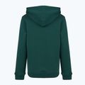 Детски суитшърт New Balance Brush Back Small Logo Hoodie medusa green 7