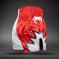 Тренировъчни шорти Venum Inferno 2.0 Muay Thai red/white 4