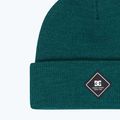 Мъжка зимна шапка DC Label deep teal 3