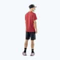 Мъжки шорти за трекинг DYNAFIT Transalper Light Dynastretch black out/0730 3