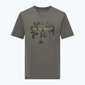 Мъжка тениска Salewa Eagle Nature faded green