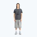 Alpha Industries мъжка тениска Hawaii vintage grey 2