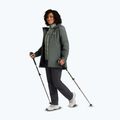 Дамски туристически обувки Jack Wolfskin Wild Hike Texapore Mid oyster 9