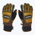 Мъжки скиорски ръкавици ZIENER Guard GTX + Gore Grip PR alpine dark/brown 4