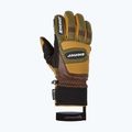 Мъжки скиорски ръкавици ZIENER Guard GTX + Gore Grip PR alpine dark/brown 8