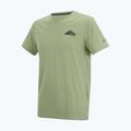 Мъжка тениска за трекинг REGATTA Breezed light sage 7