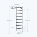 Гимнастическа стълба BenchK черна BK-221B 13