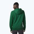 Мъжки потник за трекинг Helly Hansen F2F Organic Cotton Hoodie malachite 2