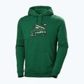 Мъжки потник за трекинг Helly Hansen F2F Organic Cotton Hoodie malachite 4