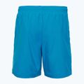 Мъжки къси панталони за плуване Oakley Clear Lake 18" Volley, сини 2