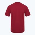 Мъжка тениска Aeronautica Militare Essential burgundy 2