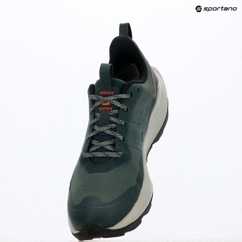 Мъжки туристически обувки Salomon Elixir Activ GTX scarab/green gable 10