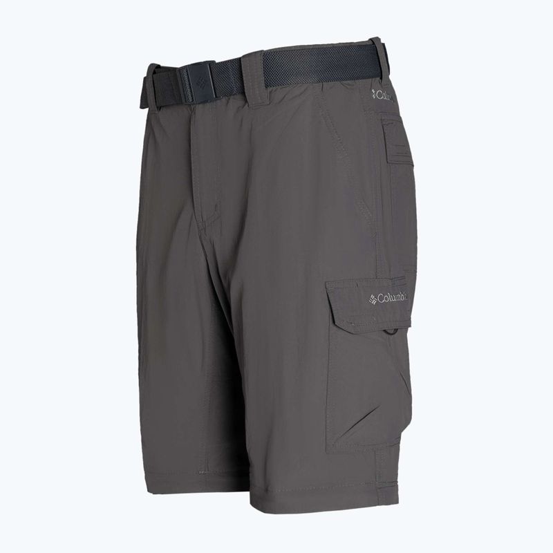 Мъжки панталони за трекинг Columbia Silver Ridge II converti 023 grey 1794891 9
