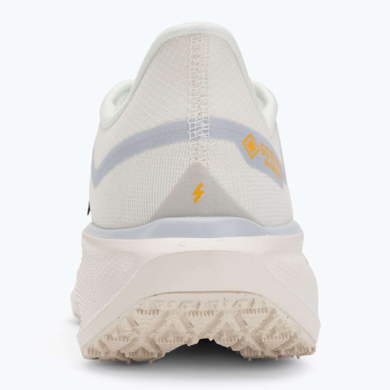 Мъжки обувки за бягане Nike Pegasus 41 GTX sail/football grey/sundial/ashen slate 6