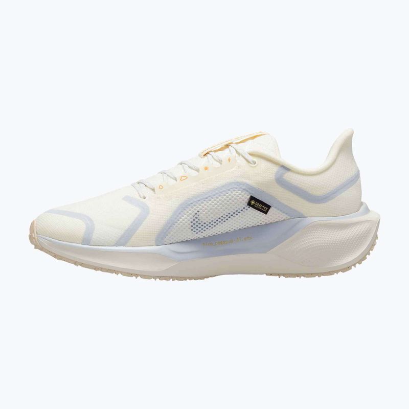 Мъжки обувки за бягане Nike Pegasus 41 GTX sail/football grey/sundial/ashen slate 9