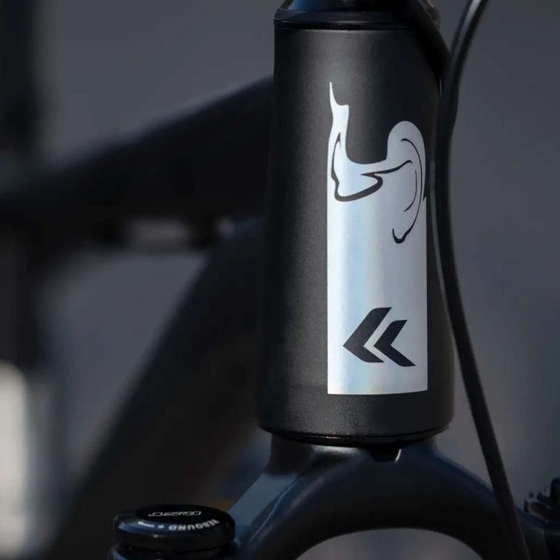 Дърт велосипед KROSS Spade 2.0 black/holo/matte 13