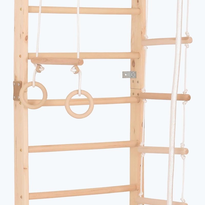 Гимнастическа стълба RINAGYM Sport 2 3
