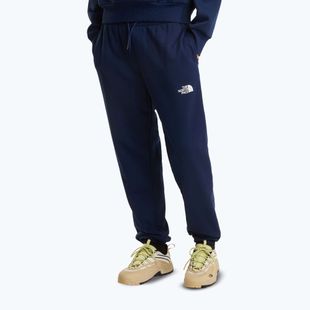 Мъжки панталони за трекинг The North Face Simple Dome Light Regular Tapered Jogger summit navy