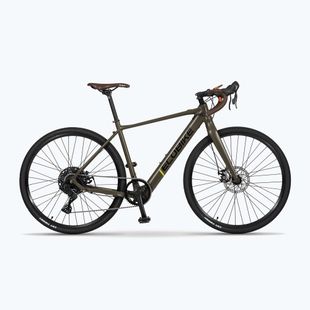 EcoBike Forest електрически велосипед 36V 9.7Ah 349.2Wh зелен